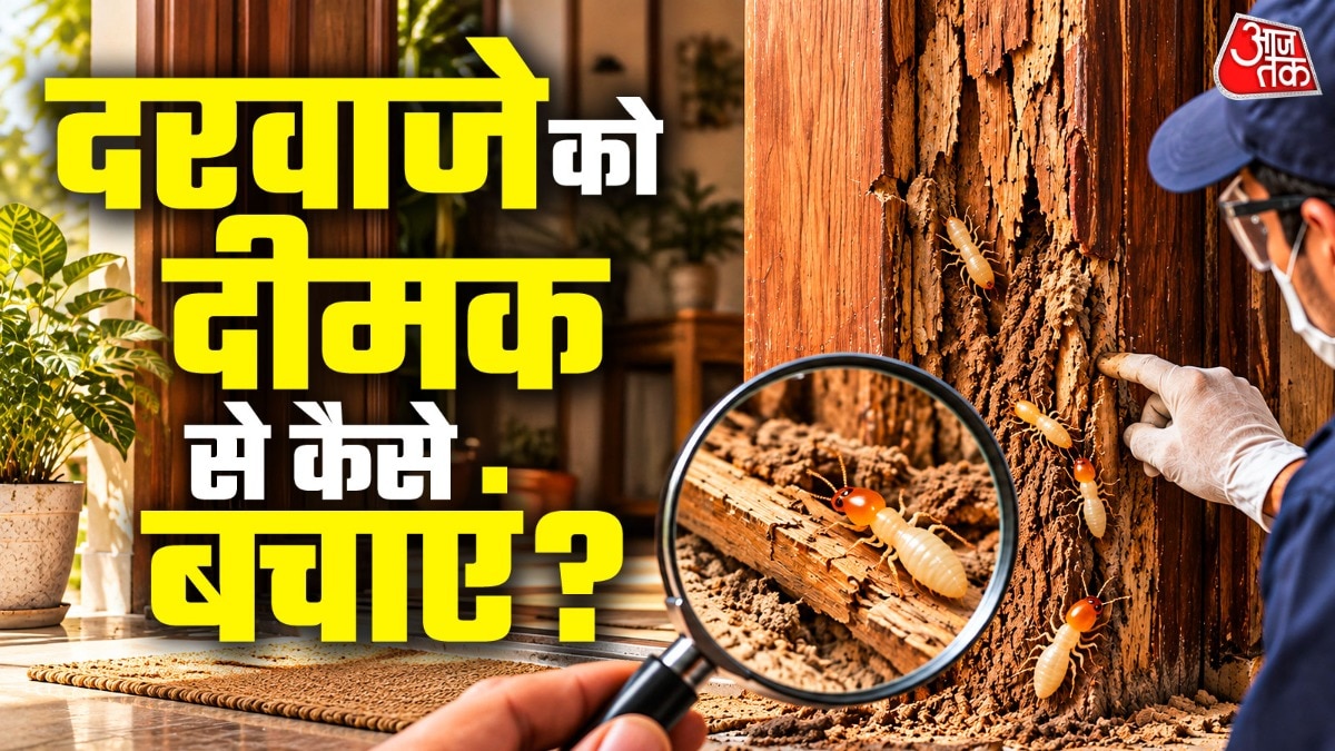 Homeowners advised to check for termites before repainting wooden doors