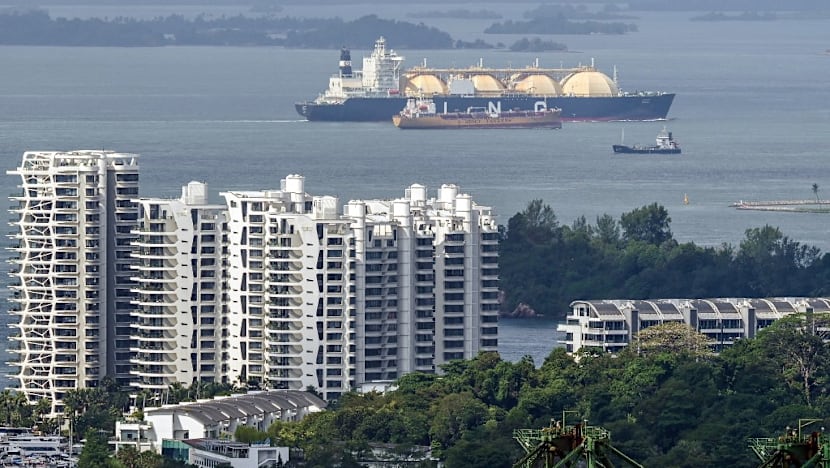 Indonesia gas supply dip poses minimal impact on Singapore: EMA