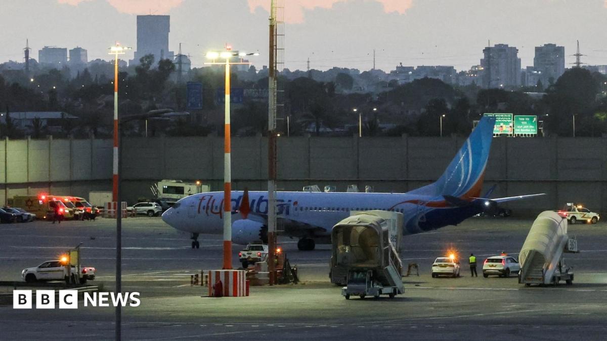 Flydubai co-pilot allegedly plotted aircraft attack on Tel Aviv