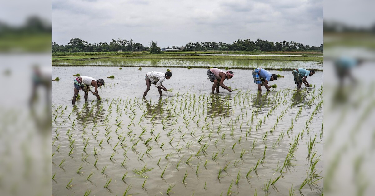India faces gaps in farm identity system rollout across states