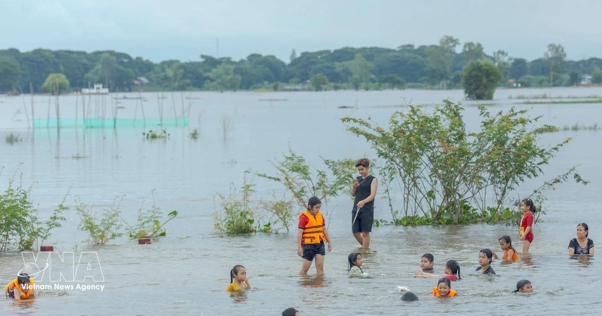 An Giang turns monsoon floods into cultural tourism draw