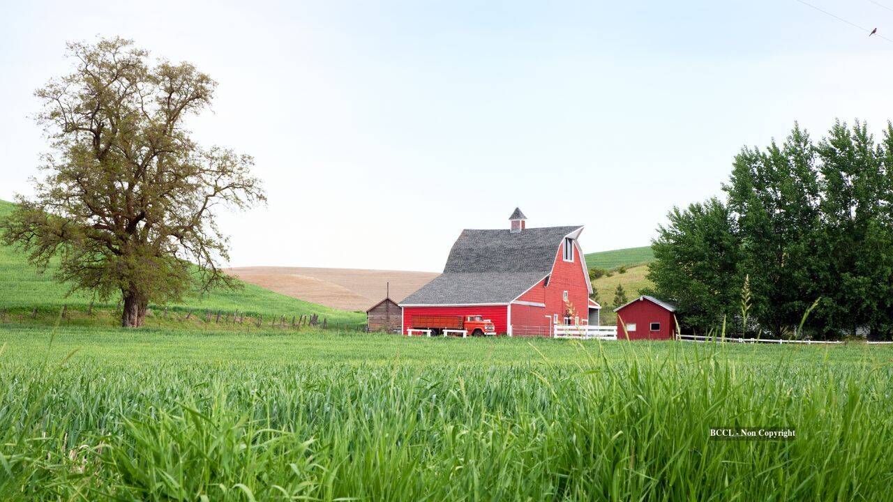 US farming family ends 84-year legacy with massive land auction