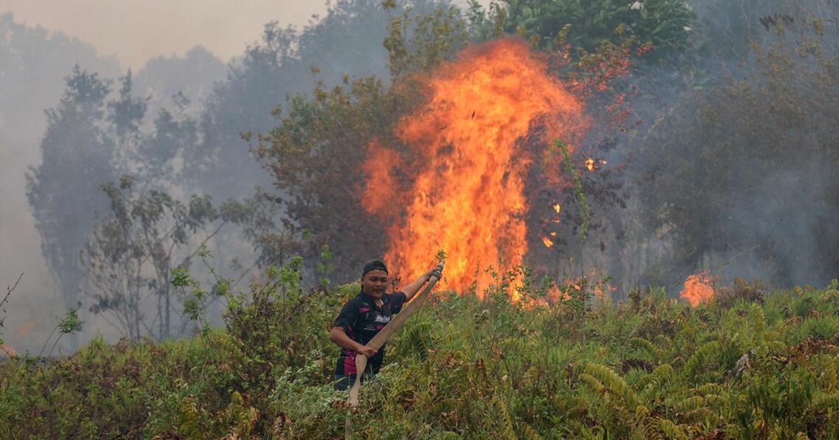 Singapore-listed palm oil firms face pressure over recurring haze problem