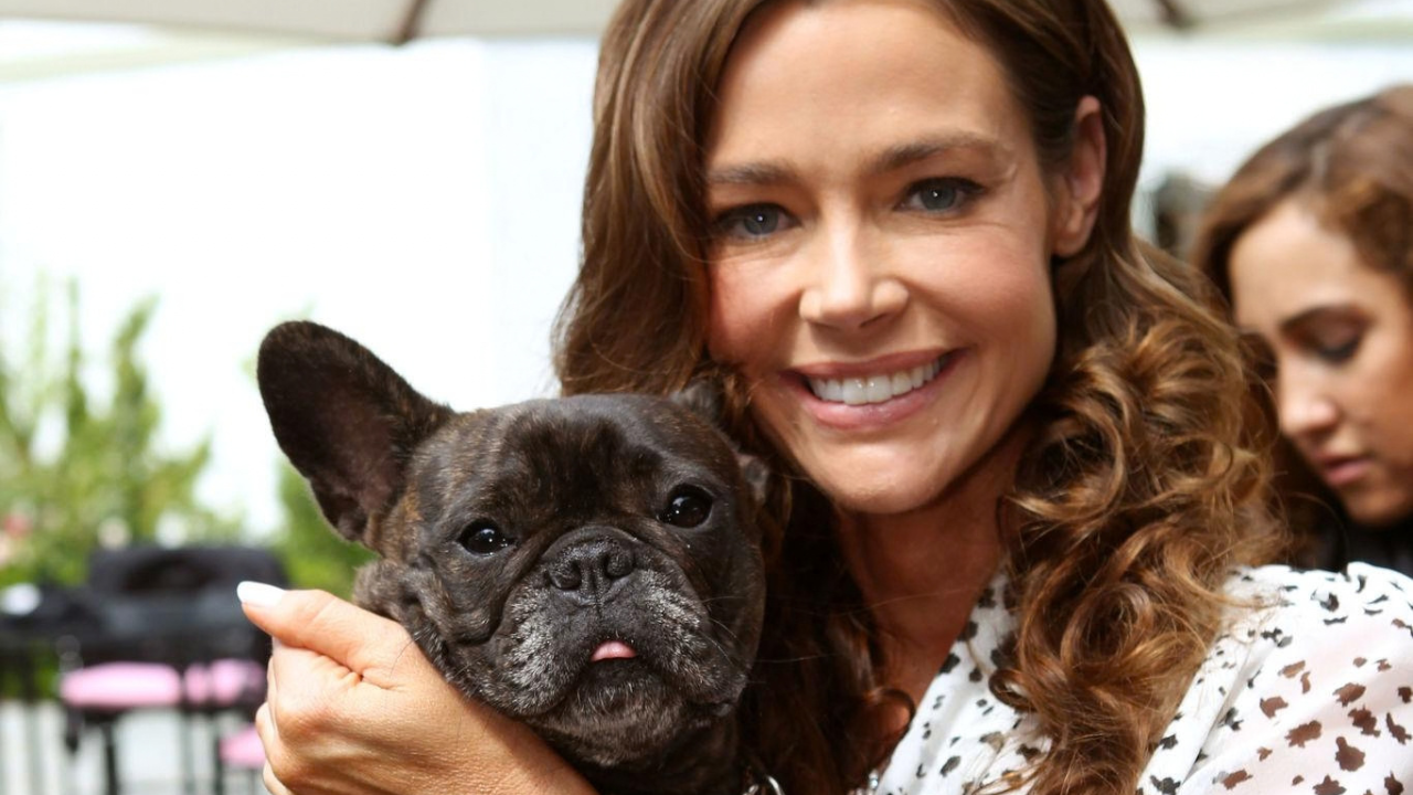 Hollywood actress champions shelter dog adoption drive