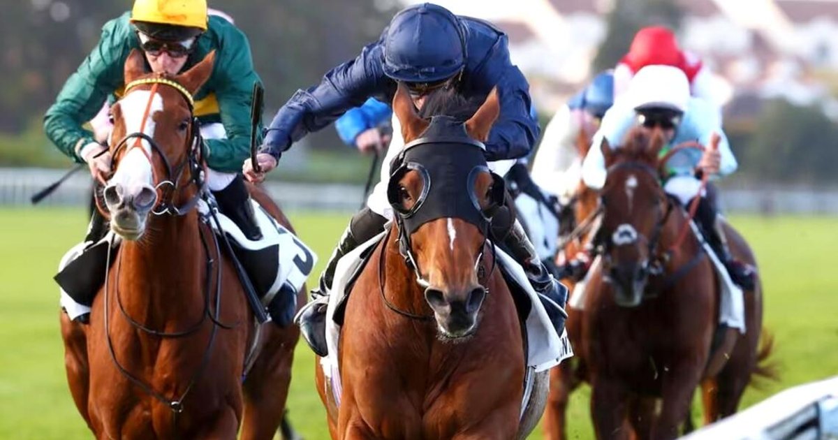 Queenstown breaks through with maiden Group 1 victory in France