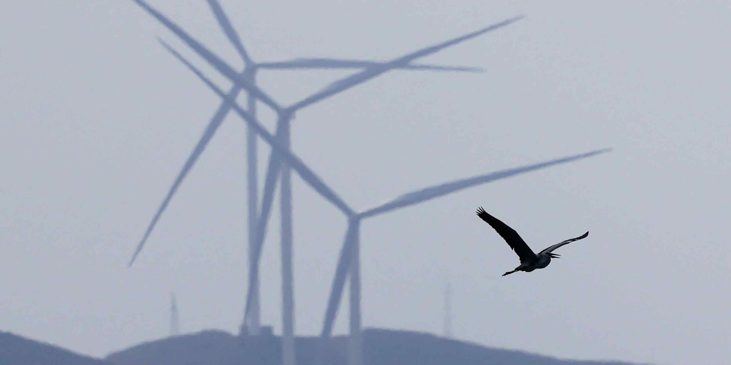 ESG Analytics Firm MioTech Charts IPO Course After China Consolidation