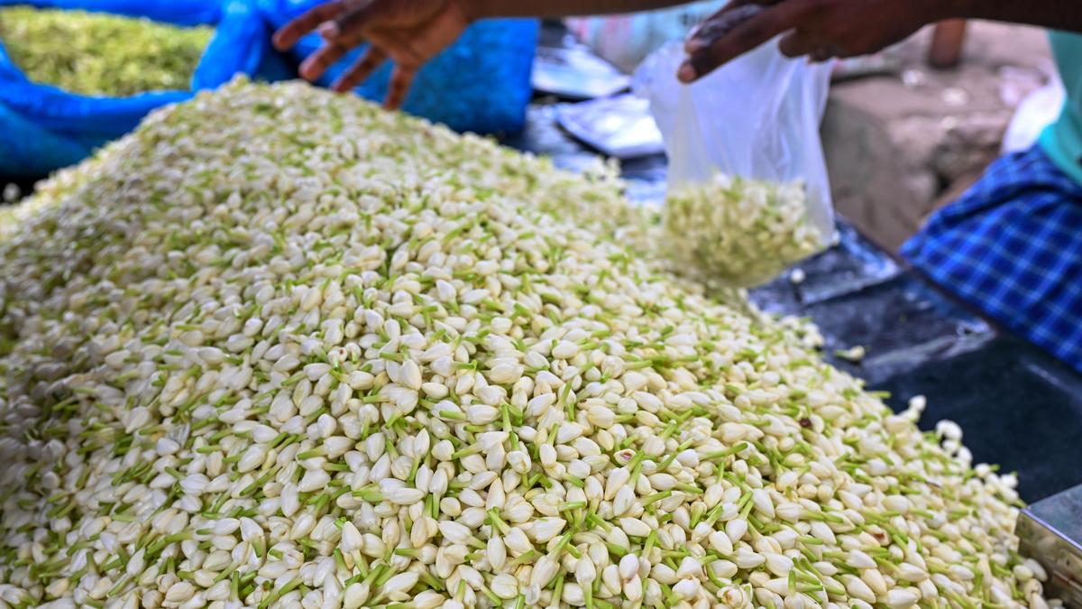 Flower costs surge in Madurai as Ayudha Puja festival approaches