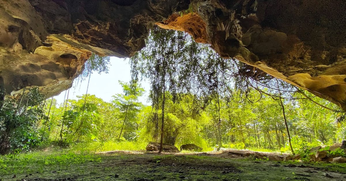 Perak's Kinta Valley emerges as crucial natural heritage site