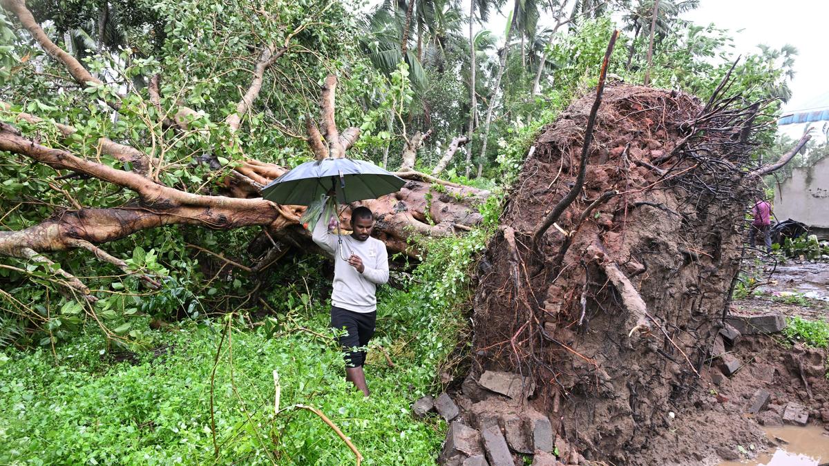 Cyclone Arnab kills five as it batters north Andhra Pradesh
