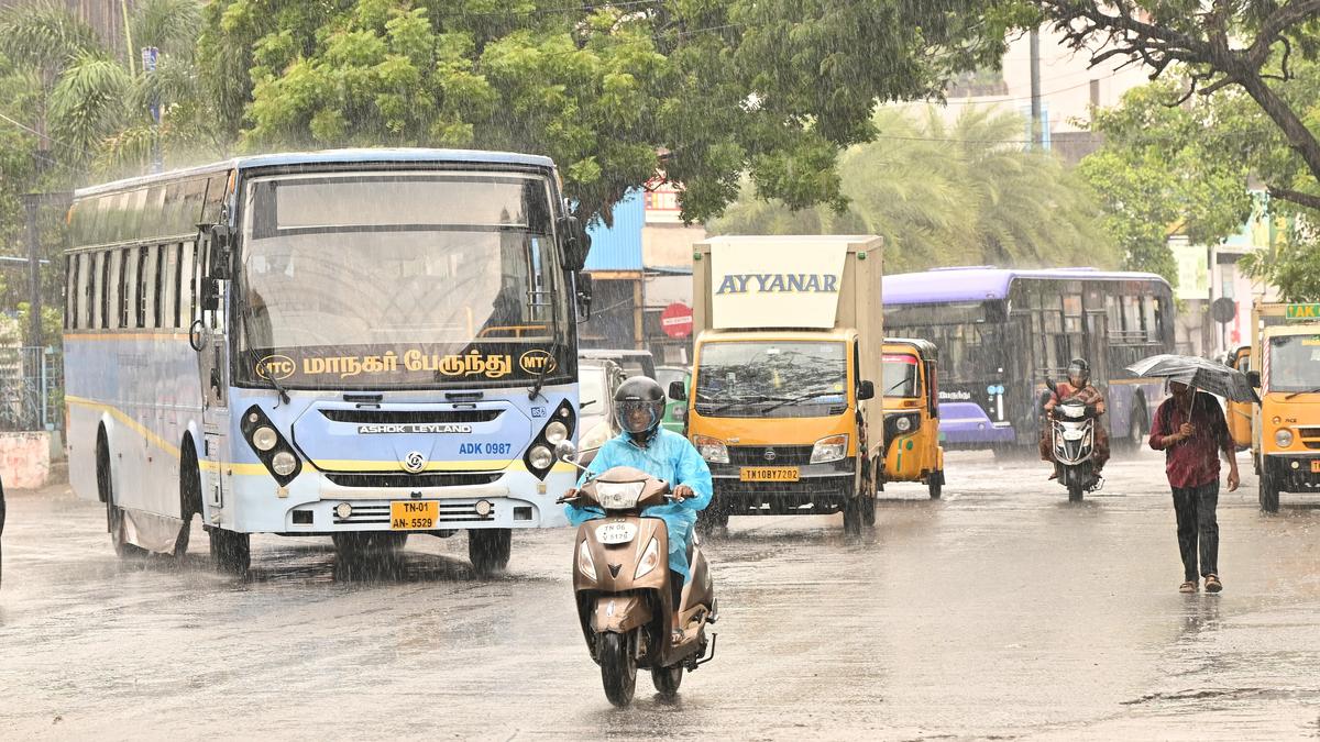 Tamil Nadu braces for sustained heat; scattered showers expected in select areas