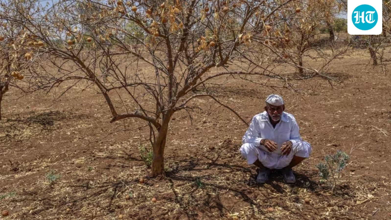 El Niño threat looms over global food prices heading into 2027