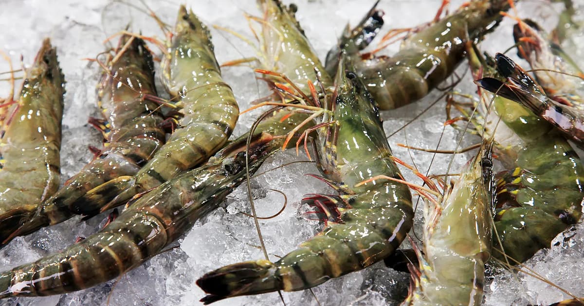 Malaysia dan Thailand dalam perbincangan akhir mengenai larangan import udang