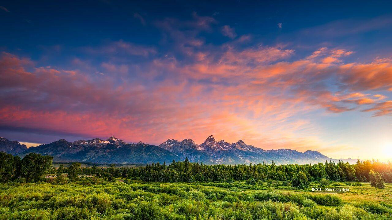 Ancient Forest's Century-Long Recovery From Climate Warming Offers Lessons