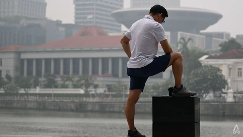 Singapore establishes specialist panel to probe haze-linked firms
