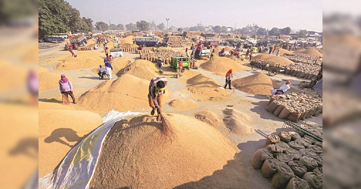 Bumper paddy crop strains procurement systems across Punjab, Haryana