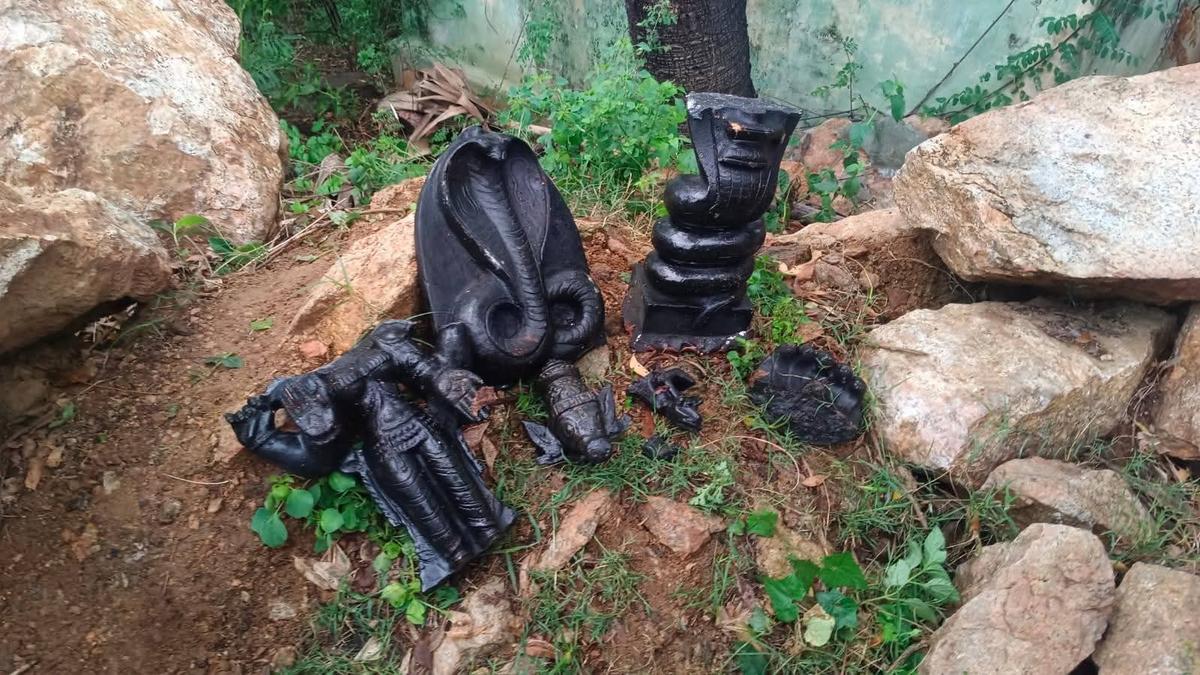 तमिलनाडु: मंदिर की मूर्तियों को नुकसान पहुंचाने के आरोप में युवक गिरफ्तार