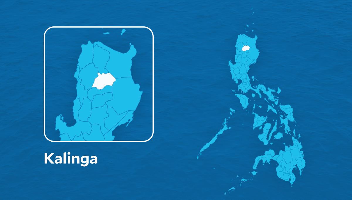 Mining firm seeks legal recourse to block Kalinga project stake sale