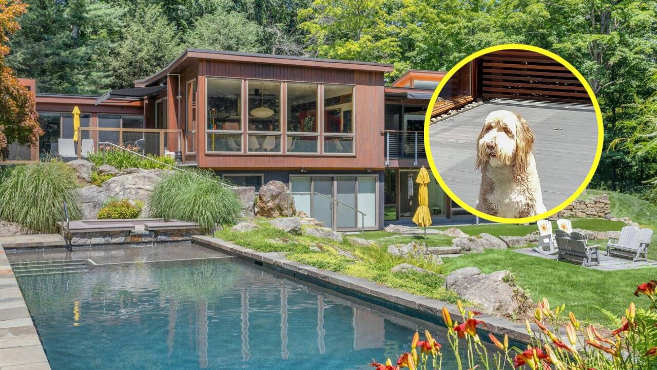 US couple lists custom dog mansion for $2.9M after $3M renovation