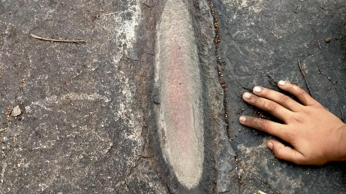 Ancient rock formations discovered at Mrugavani National Park
