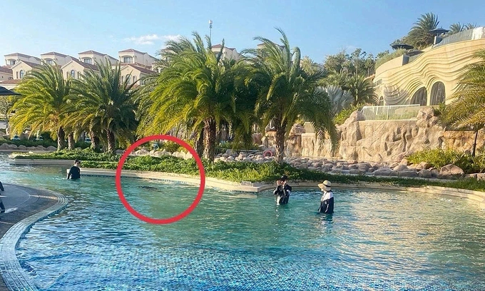 Vietnamese man charged in Japanese boy's resort drowning death
