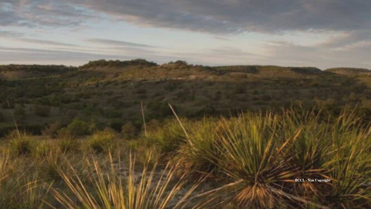 Poultry entrepreneur's Texas ranch restoration revives historic springs
