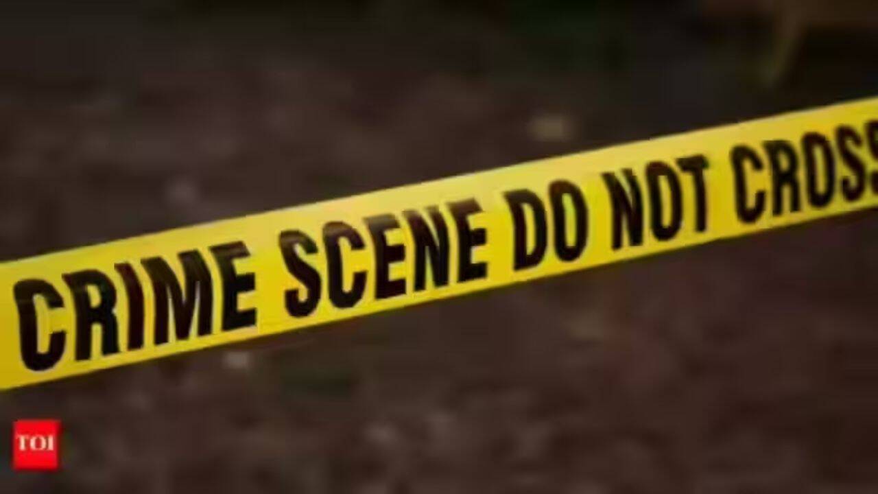 At least 11 dead in mass shooting at South African nightclub