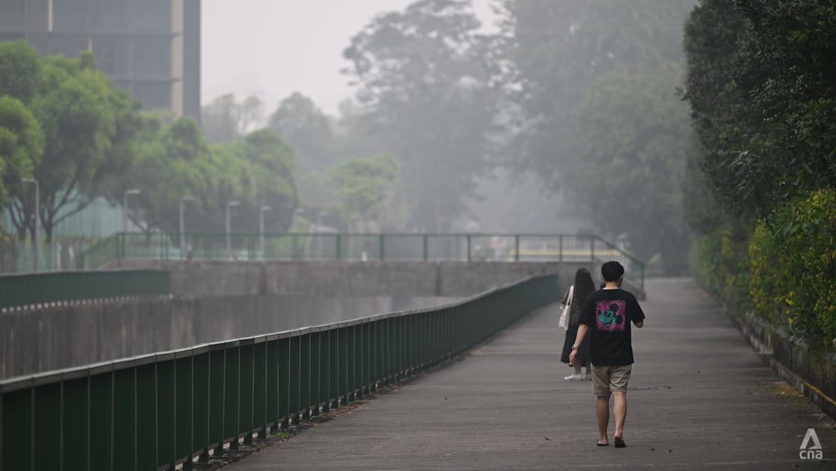 Sudden spike in PM2.5 levels disrupts Singapore, strains mask supplies