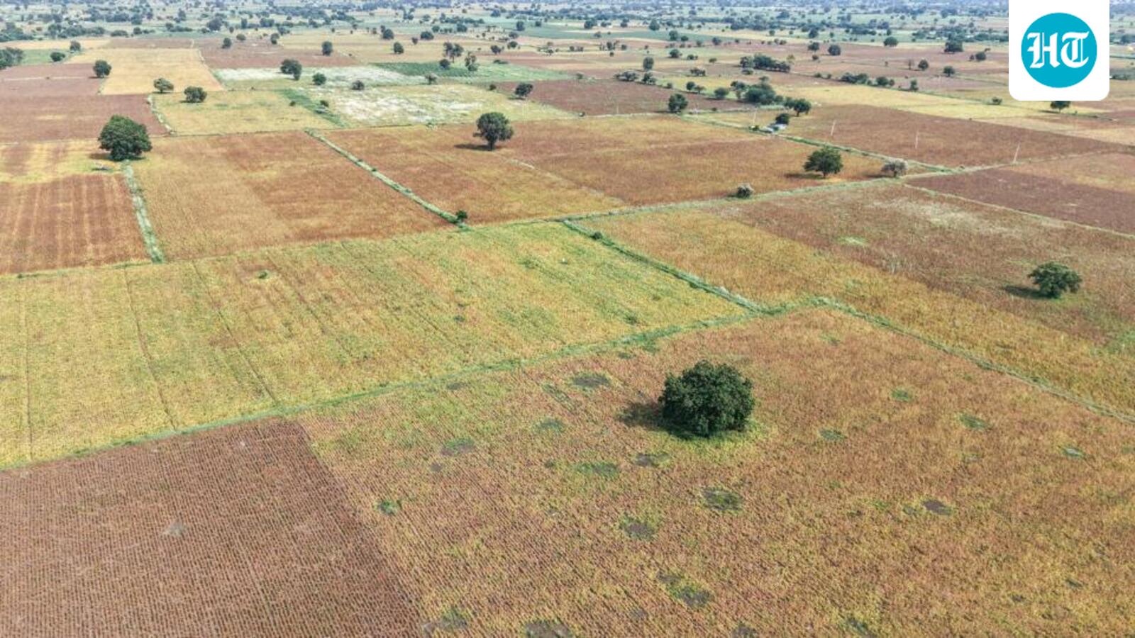 Deficient monsoon threatens farm output, rural consumption across India