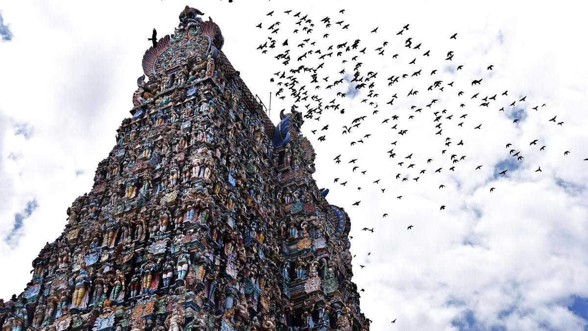 Meenakshi Temple consecrated after 17-year gap in Madurai