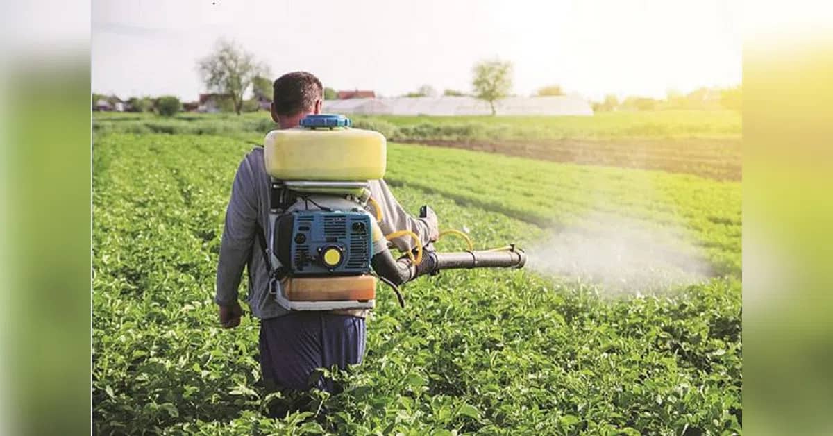 India's fertiliser sales decline 10% amid weak monsoon rainfall
