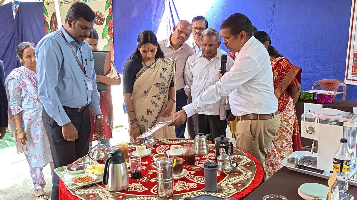 Coffee-Growing District Pushes Collective Marketing to Boost Farmer Incomes