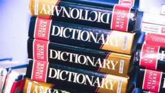 Dictionary.com names 'maxxing' as word of the year