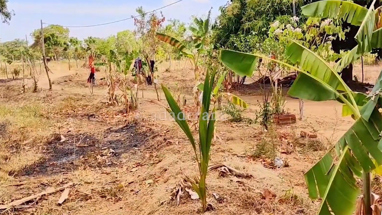 Drought conditions affect nearly 96,000 people across Sri Lanka