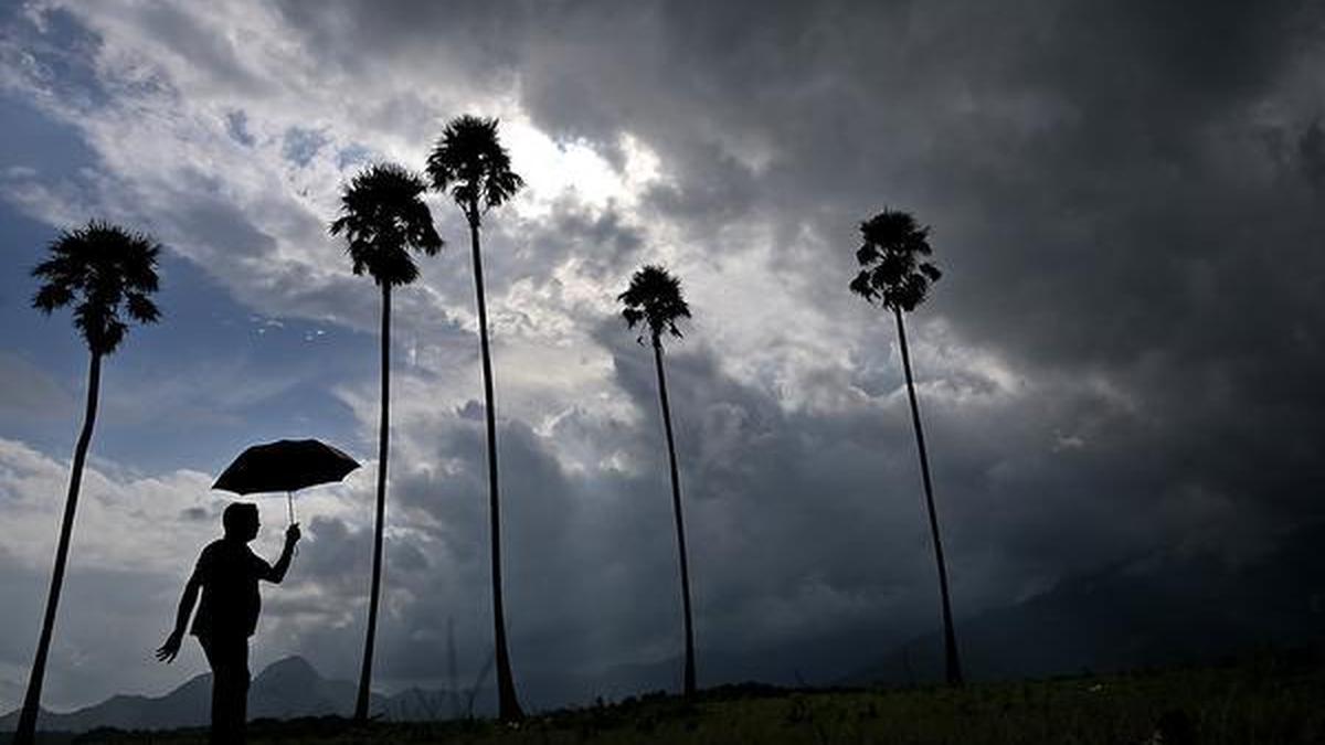 Wayanad faces severe monsoon deficit as rainfall plunges 37% below normal