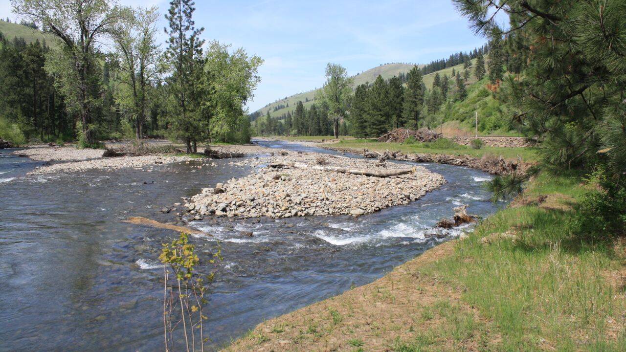 Oregon removes levees, restores salmon habitat across six miles
