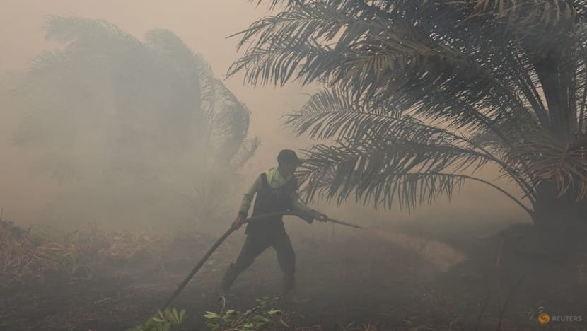 TSH Resources says detected hotspots were outside operational plantation areas