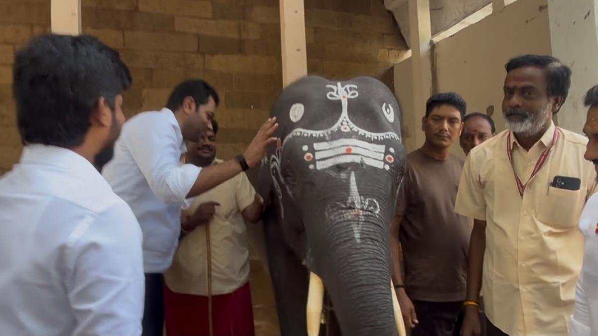 Tiruvannamalai temple elephant christened 'Namasivayam' in naming ceremony