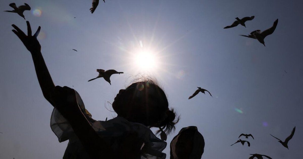 China identifies super El Niño pattern emerging in September
