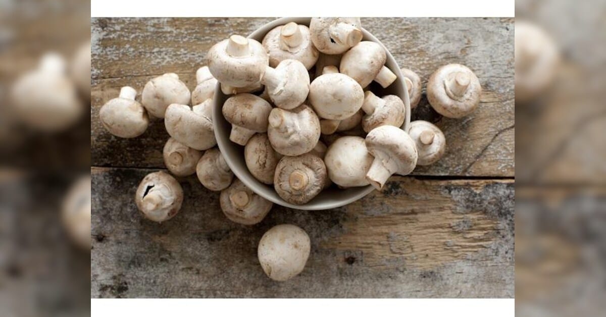 India's mushroom sector expands sevenfold, Bihar leads growth push