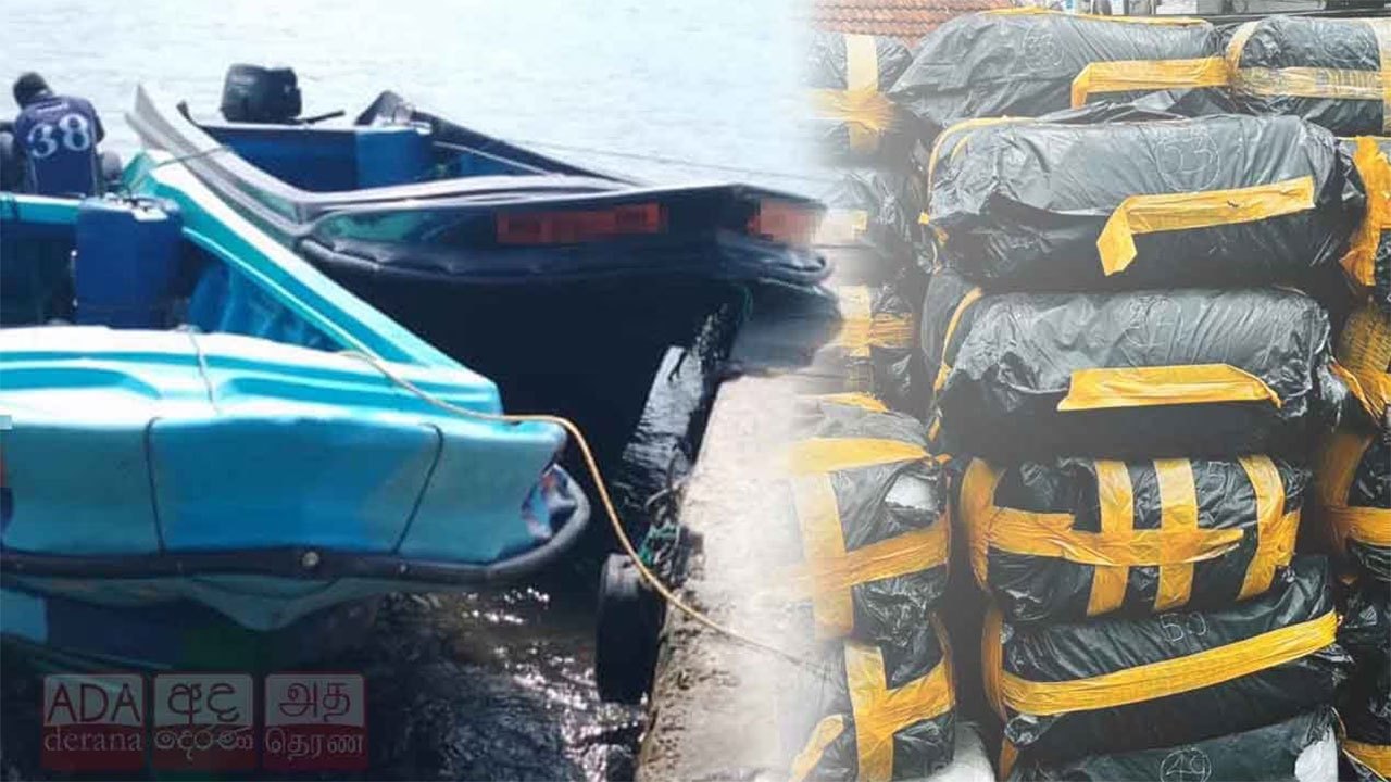 Navy intercepts major kendu leaf smuggling operation in Negombo