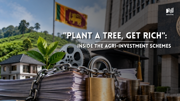 Central Bank Freezes Six Companies Over Dubious Plantation Investment Schemes