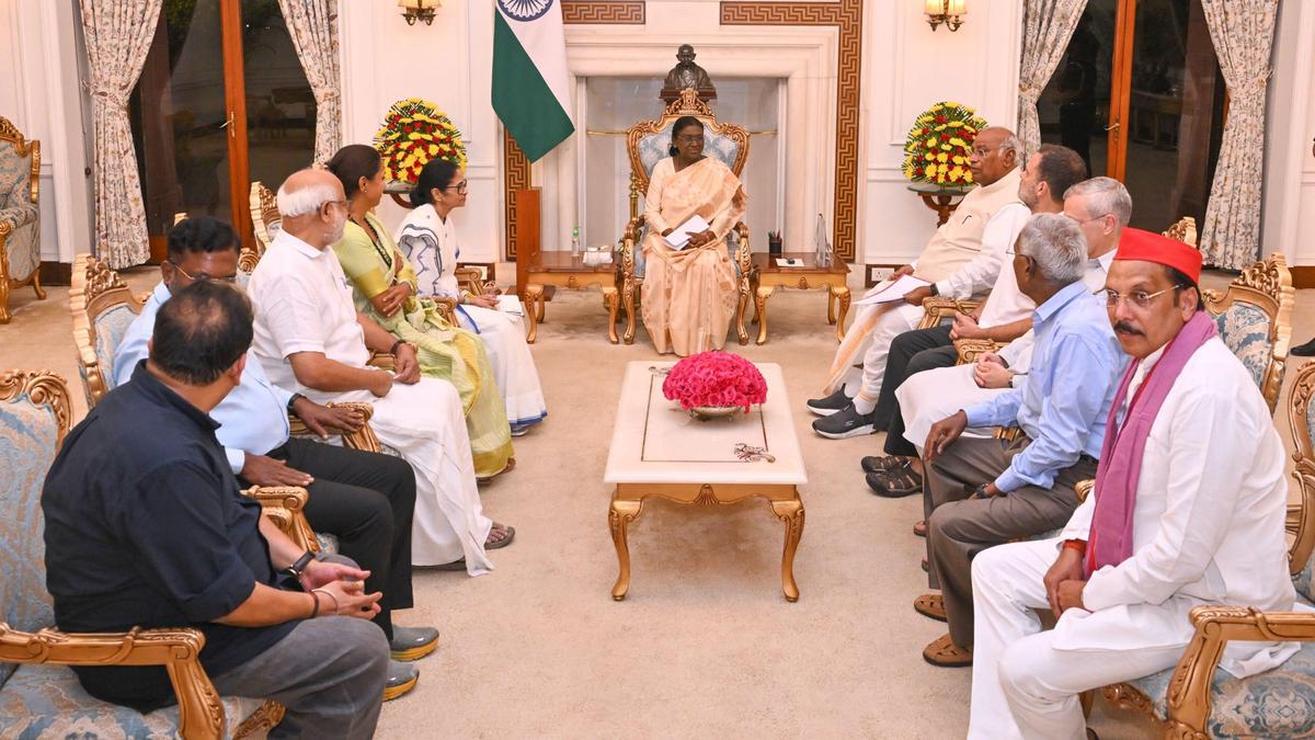 BJP dismisses Rahul's account of Opposition meeting with President