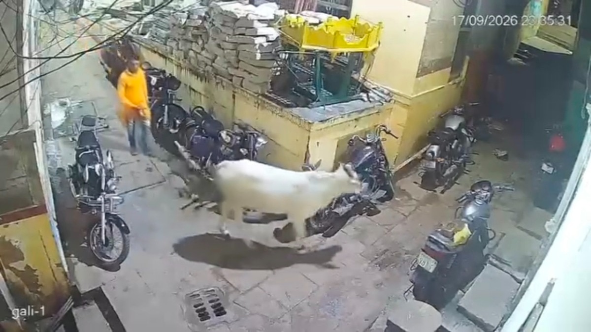 वाराणसी में पशु क्रूरता का मामला, CCTV से आरोपी की पहचान