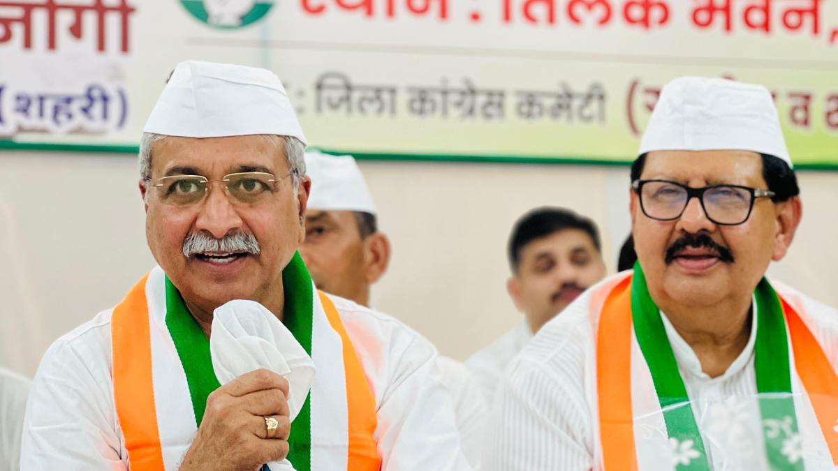 Haryana Congress shows signs of revival after organisational restructuring