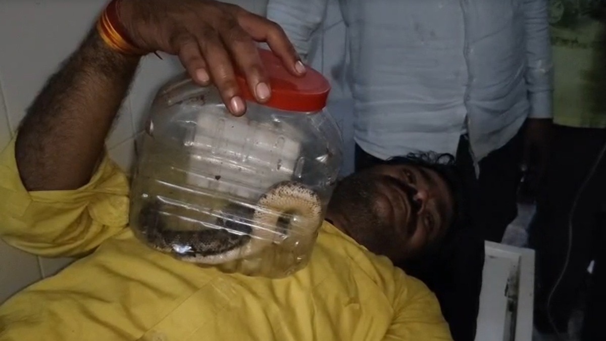 Snake bite victim arrives at hospital clutching the offending serpent