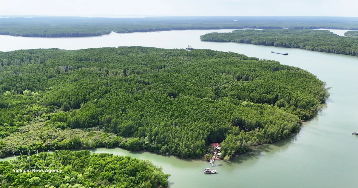 Vietnam links green credit to carbon market to unlock climate funding