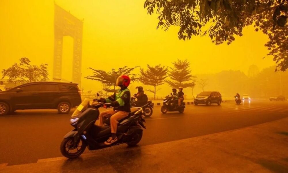 Indonesia to trial dry ice cloud seeding to combat forest fire haze
