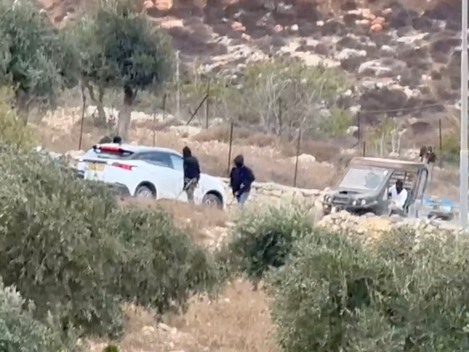 West Bank settler violence escalates during olive harvest season