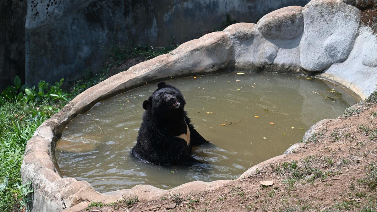 Kerala Zoo Relocation Plan Sparks Political Row in Thiruvananthapuram
