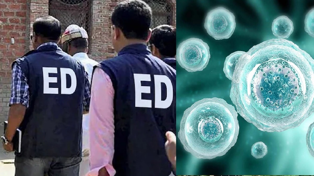 ED raids alleged illegal human egg trafficking racket in Maharashtra